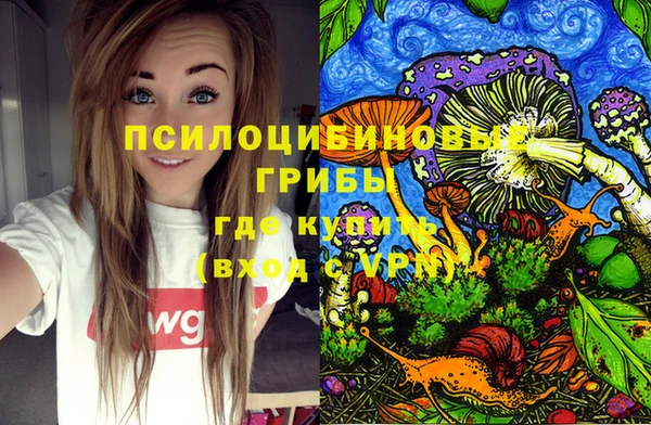 амфетамин Богородицк