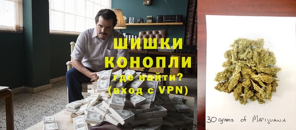 сатива Богданович